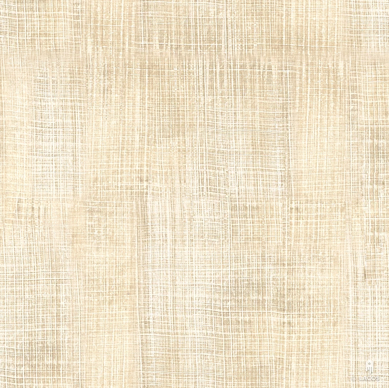 51038+51004 51038+51004.jpg
