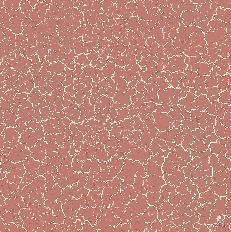 44105+8079 44105+8079.jpg