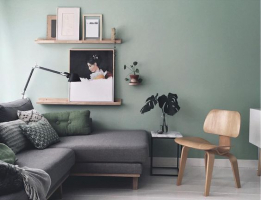 Как окрасить интерьер: руководство Tikkurila