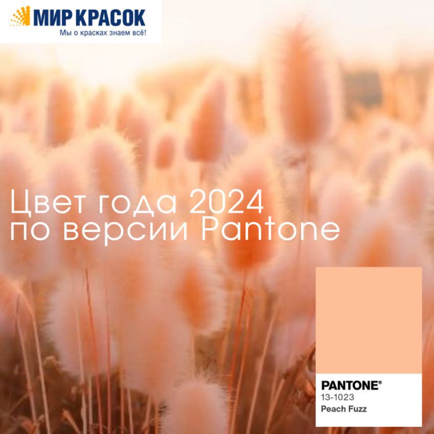 Главный цвет 2024 года по версии PANTONE 13-1023 Peach Fuzz «Персиковый пух»